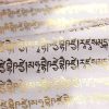 Tibetan 5 Colors Windhorse Buddha Scriptures Outdoor Prayer Flag